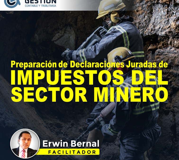 Preparación de Declaraciones Juradas de Impuestos del Sector Minero